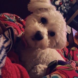 Meet your Posher, Alexandra